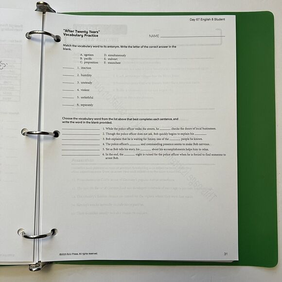 BJU Press Writing Grammar Literature Student Handouts English 8 Homeschool Curri - Picture 10 of 13